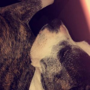 Meet your Posher, Aaliyah